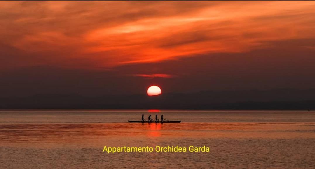 Appartamento Orchidea Garda Garda  Zewnętrze zdjęcie