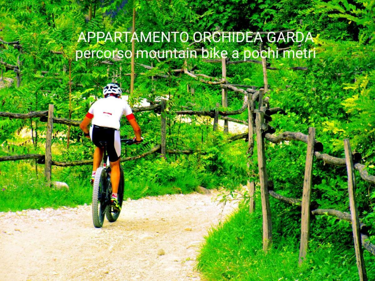 Appartamento Orchidea Garda Garda  Zewnętrze zdjęcie